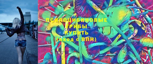кокс Арсеньев